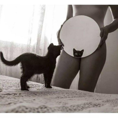 purrfectlyhorny@kinkycats.org