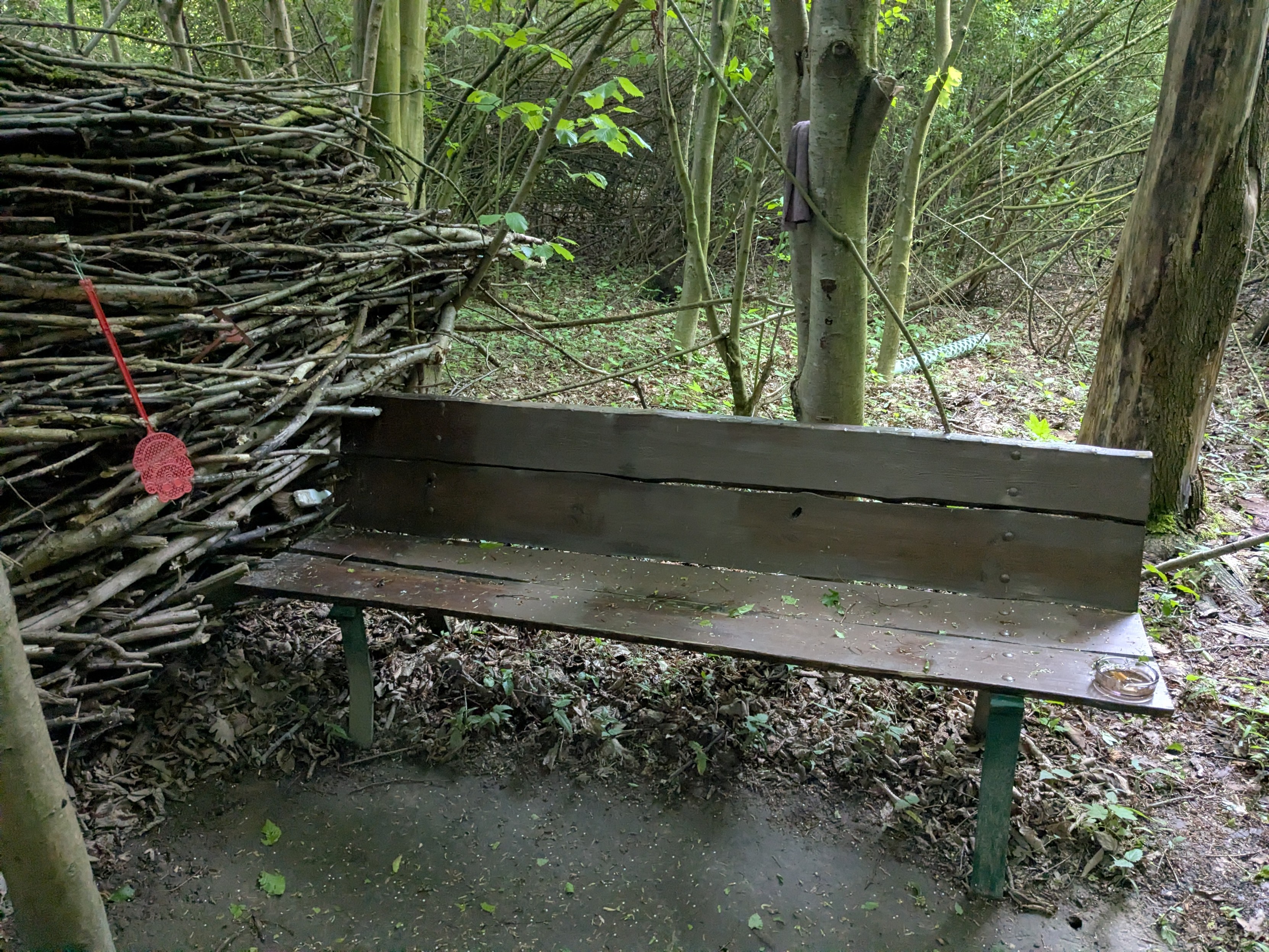 A commercially built wooden bench with metal feet standing in this wooden area. The weather is kind of wet, so the bench and the surrounding area is too. To the side of the bench are a lot of stacked branches, forming a kind of protection against people watching from further away. There's a wet ashtray standing on the bench and a red plastic fly swatter hanging on the stack of wood. A commercially built wooden bench with metal feet standing in this wooden area. The weather is kind of wet, so the bench and the surrounding area is too. To the side of the bench are a lot of stacked branches, forming a kind of protection against people watching from further away. There's a wet ashtray standing on the bench and a red plastic fly swatter hanging on the stack of wood.