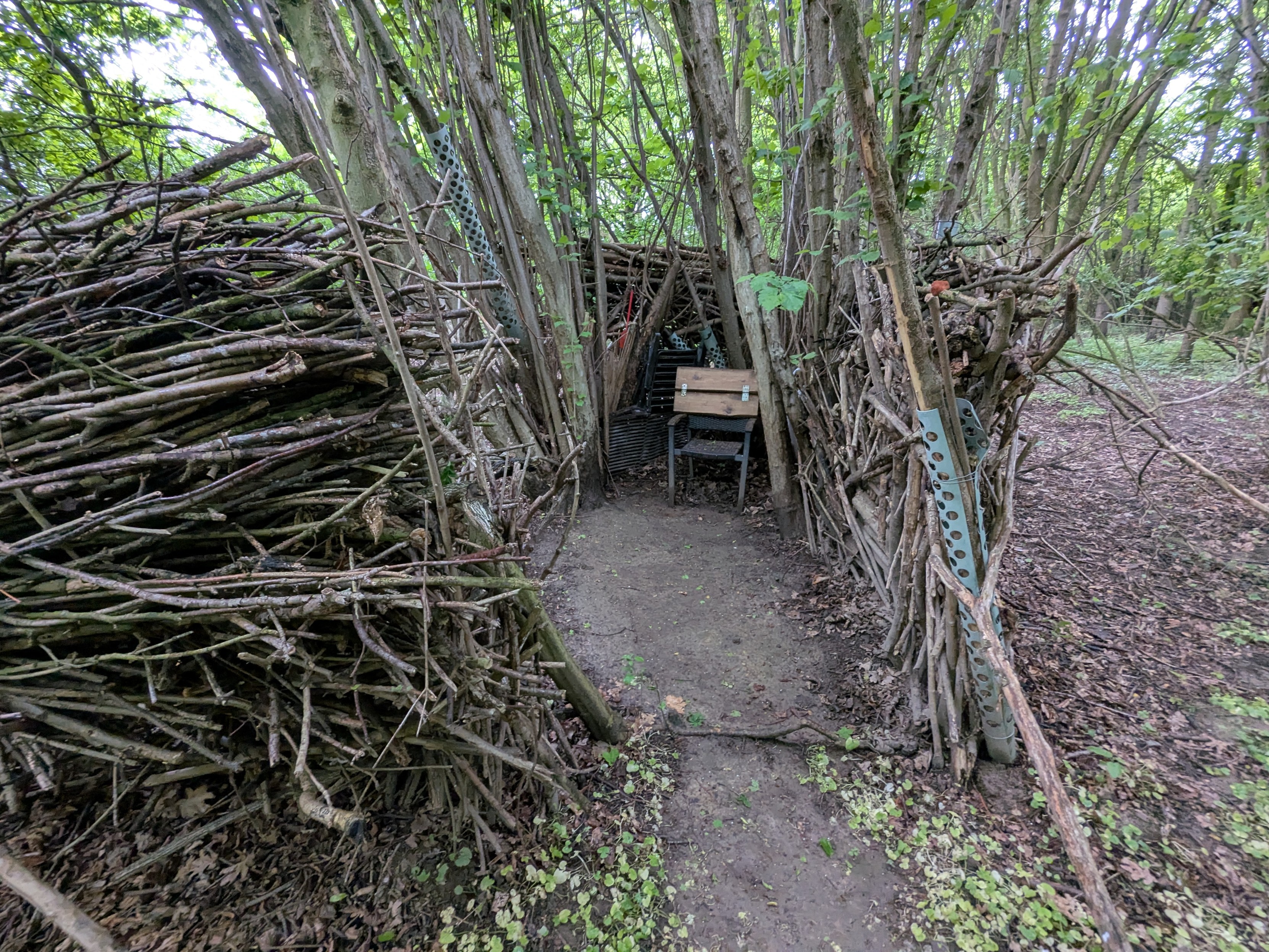 Another area created by stacking lots of branches to form kind of a roofless "room" in that outdoor forest-y area. Standing in one of the corners is a basic outdoor chair. There's another red plastic fly swatter hanging next to it. Another area created by stacking lots of branches to form kind of a roofless "room" in that outdoor forest-y area. Standing in one of the corners is a basic outdoor chair. There's another red plastic fly swatter hanging next to it.